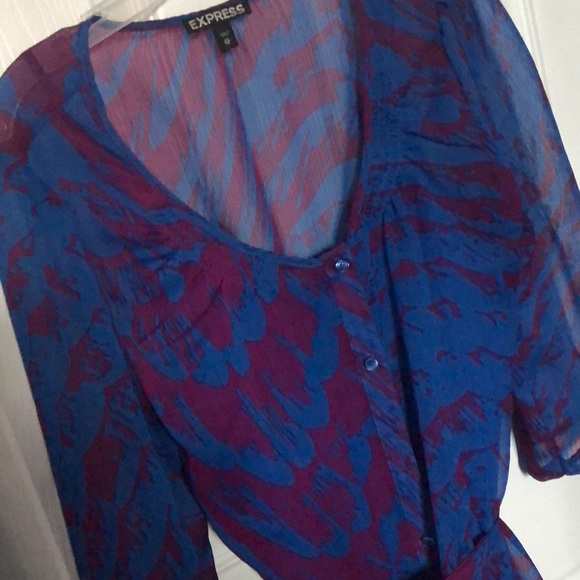 ❤️Sheer Express Zebra Print Dress - Picture 6 of 6